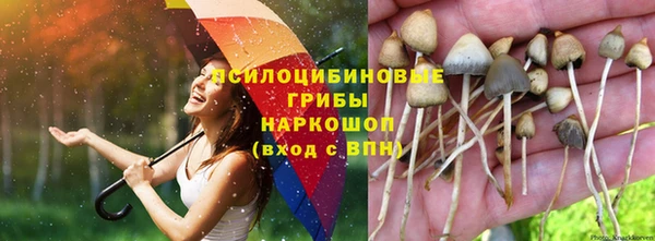 герыч Нязепетровск