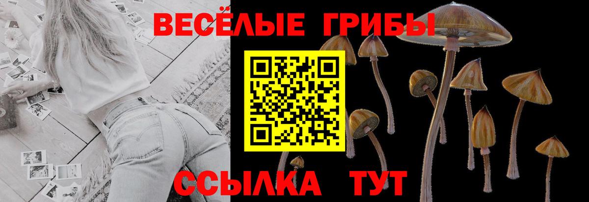 Кирово-Чепецк  Галлюциногенные грибы MAGIC MUSHROOMS  Вход с VPN 