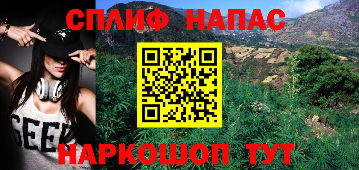 Бошки Шишки план Кирово-Чепецк